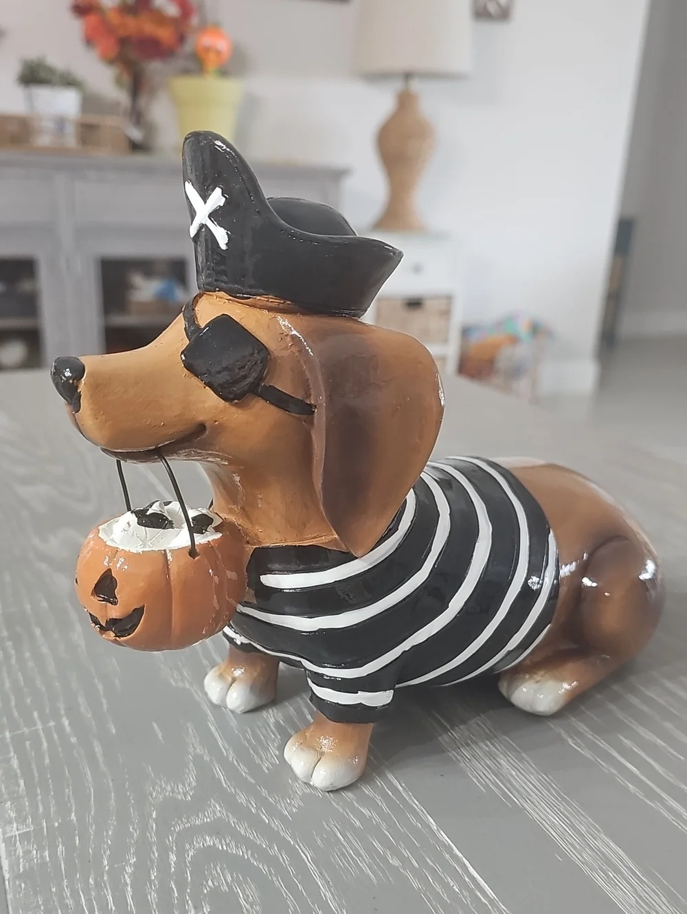 New! Halloween Pirate Costume Dachshund Dog with Trick Or Treat Pumpkin